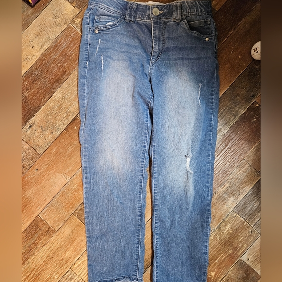 Democracy - Picture 4 of 6